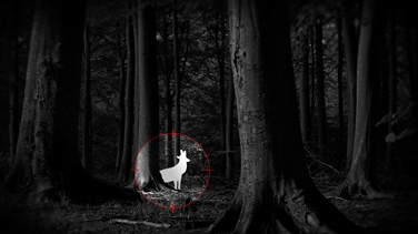 30倍高清變焦夜視功能